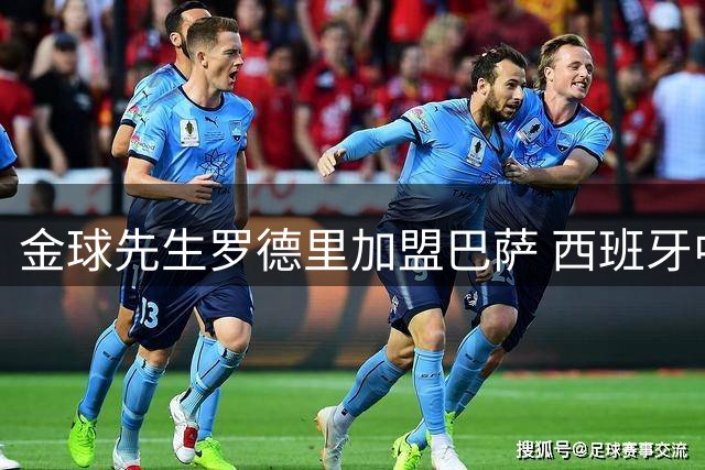 金球先生罗德里加盟巴萨 西班牙中场核心重返西甲